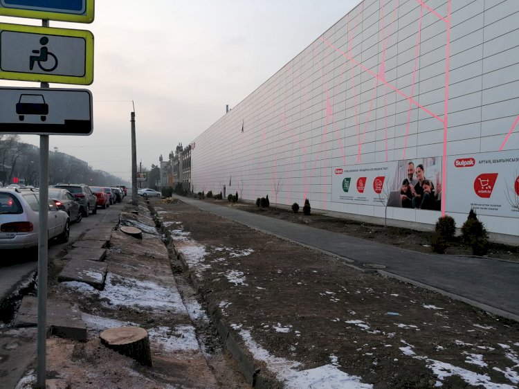 Токаев отреагировал на вырубку деревьев возле Sulpak в Алматы