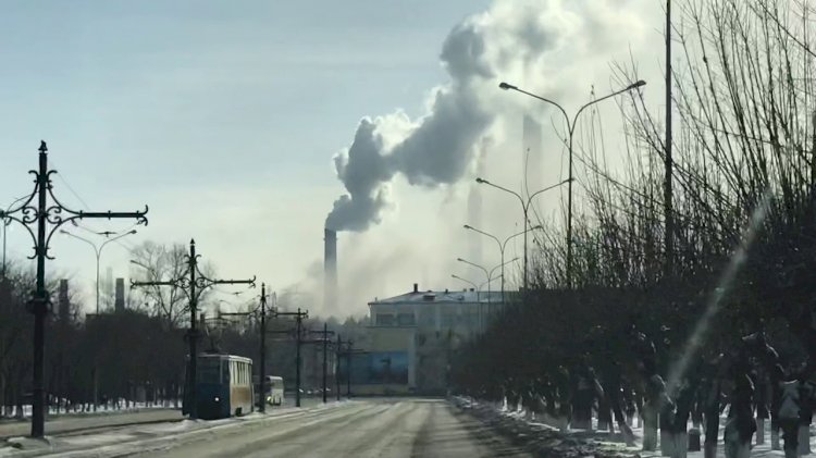 Казахстанские экологи обязали «АрселорМиттал Темиртау» посадить 500 тысяч деревьев