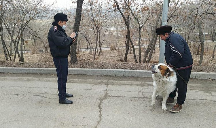 Дежурный по городу. Особое задание