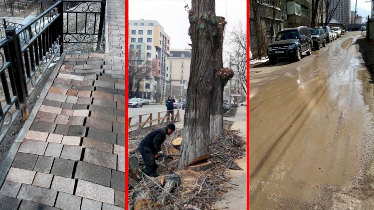 Дежурный по городу. Вышли на дежурство