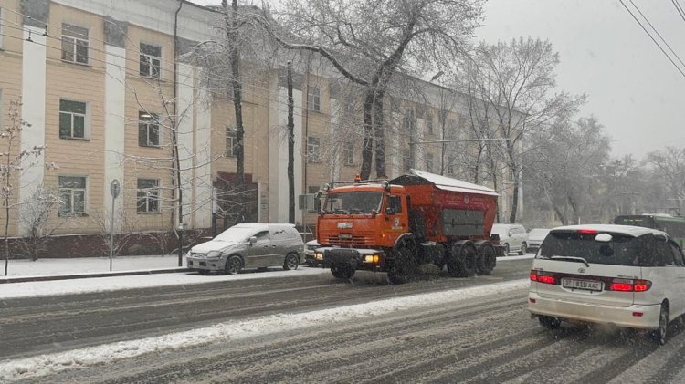Полицейские Алматы обратились к автомобилистам