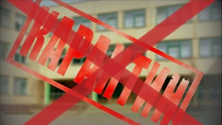 Швейцария и Бельгия начинают поэтапную отмену карантина