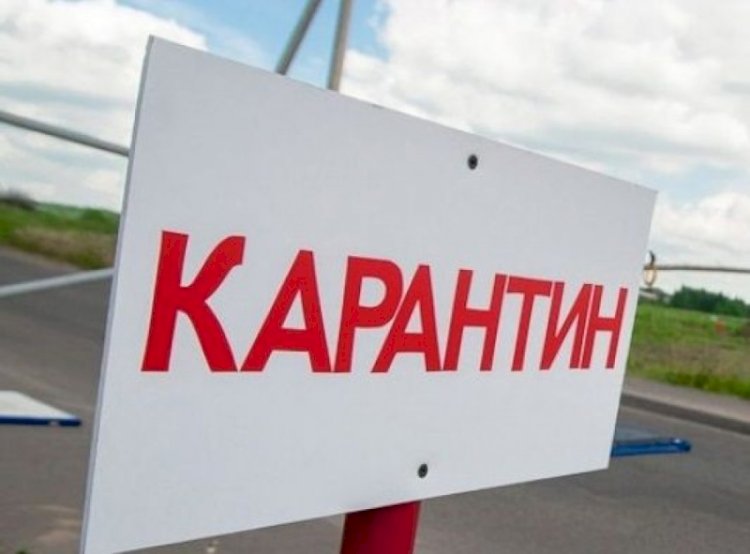 Прибывающих из Индии в Казахстан будут изолировать на 14 дней