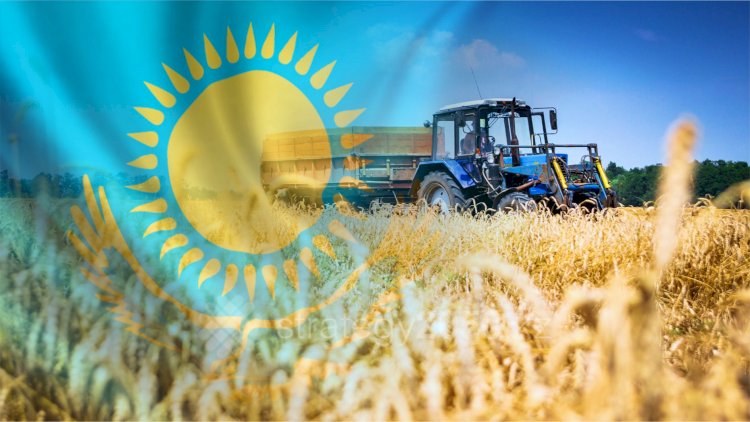 Несмотря на пандемию, сельхозотрасль РК в 2020 году показала уверенный рост