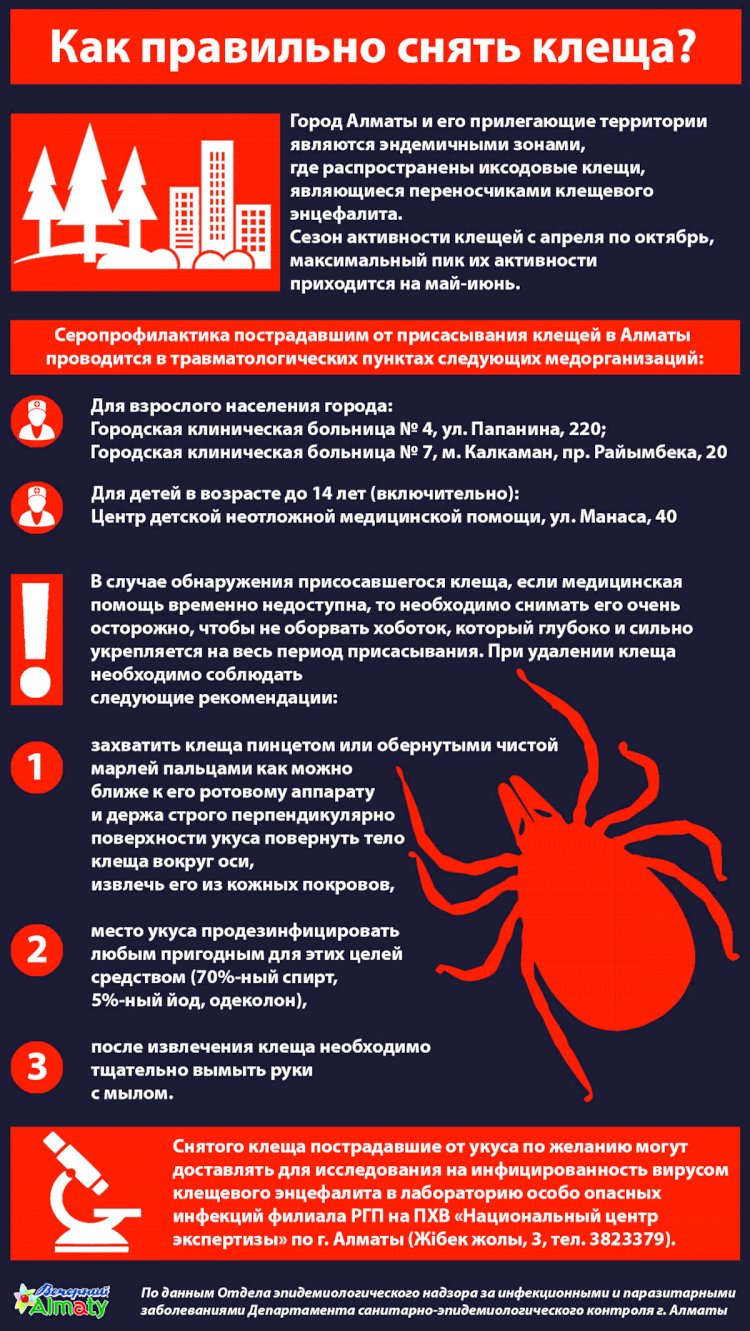Как правильно снять клеща?