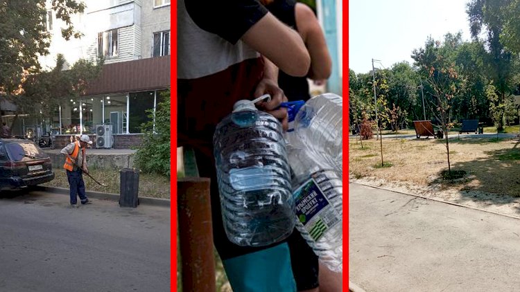 Дежурный по городу. В каких житейских делах пытались навести порядок алматинцы