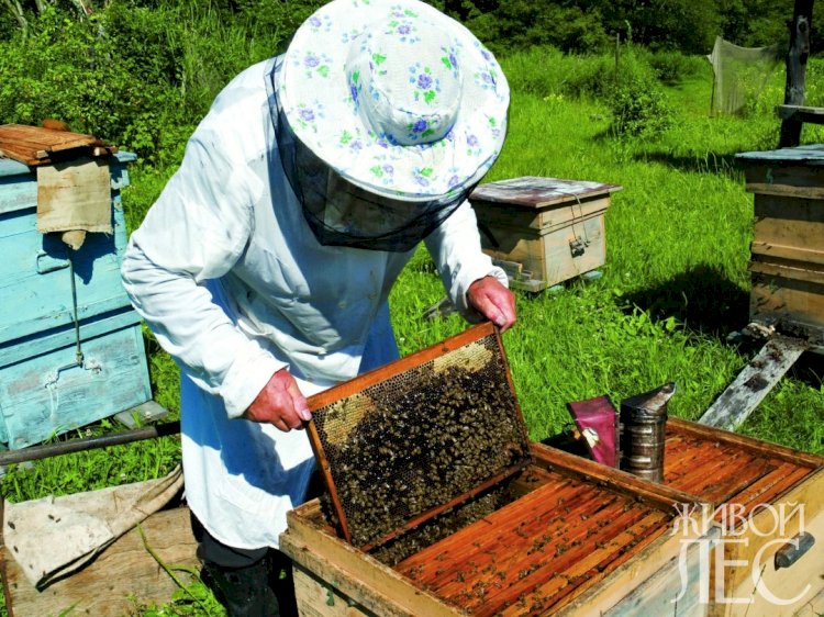 Какую продукцию и в какие страны планируют поставлять казахстанские предприятия