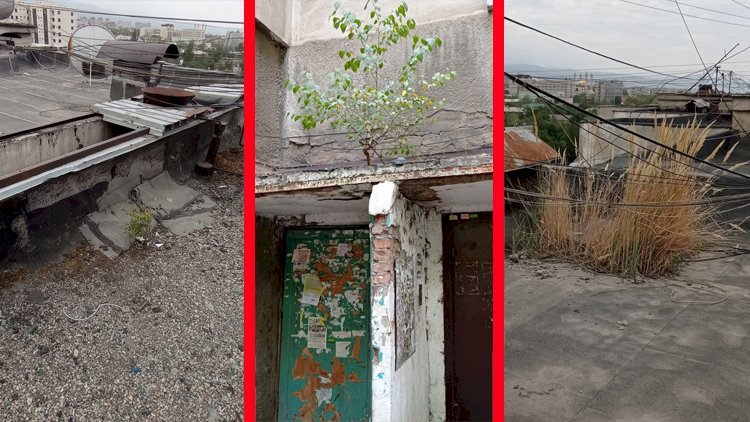 Дежурный по городу. А Алсеко против?