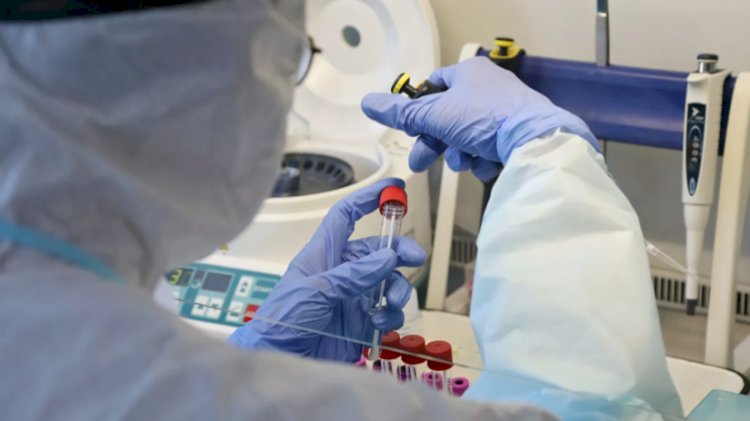 В Казахстане 3343 новых случая коронавируса