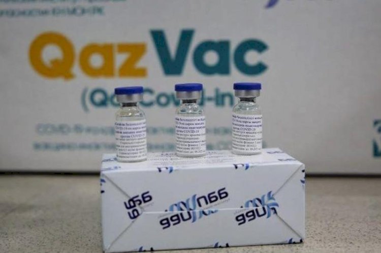 Разработчики вакцины QazVac получат госпремию