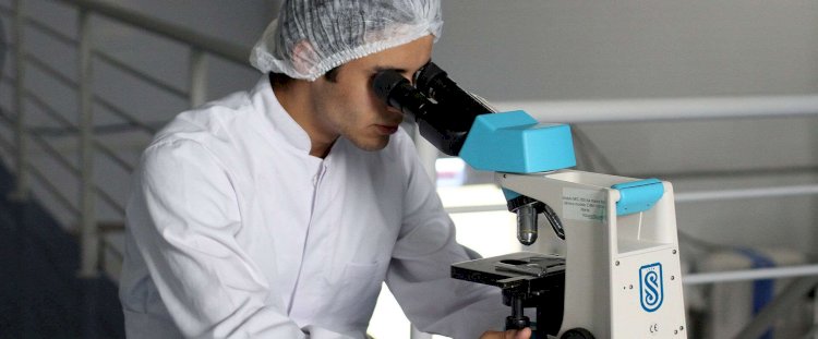 О новых правилах поступления в докторантуру рассказали в МОН РК