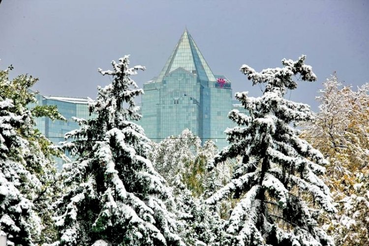 Какая погода ожидается в Алматы 17 ноября