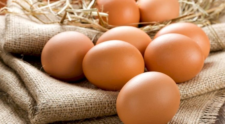 В Казахстане снижены цены на яйца