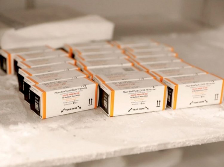 Для противостояния омикрон-штамму вакцину Pfizer сделают трехфазной