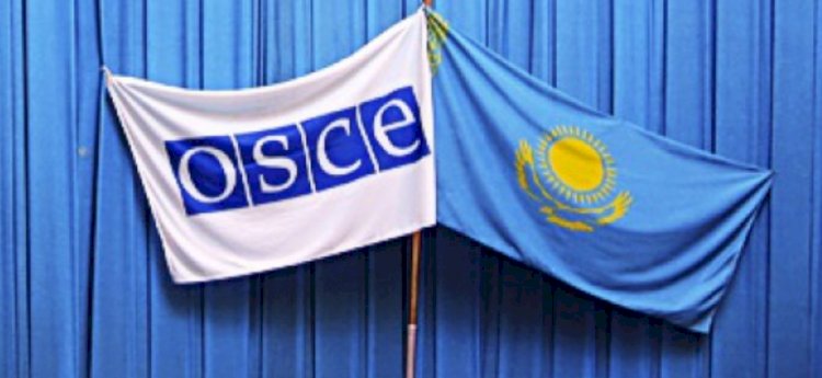 Миссия Великобритании в ОБСЕ готова оказать поддержку Казахстану