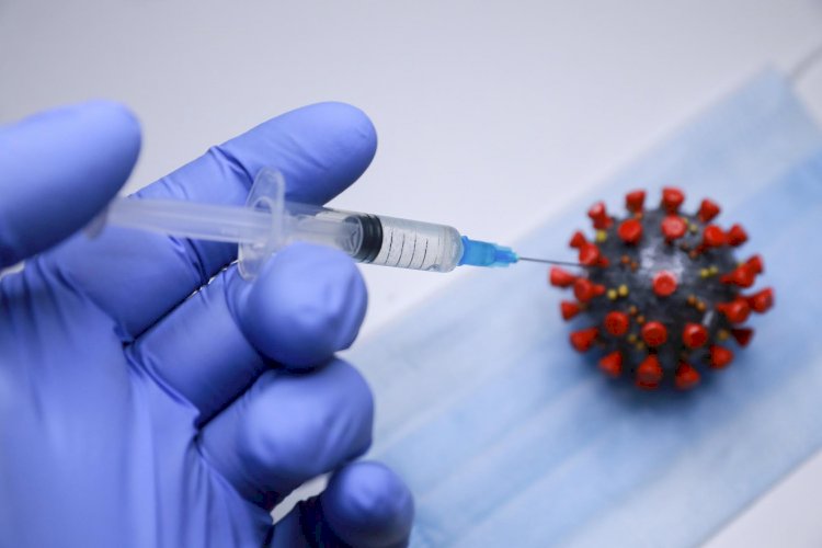 Более 2 млн смертей за год: новую страшилку о вакцинации рассылают в соцсетях