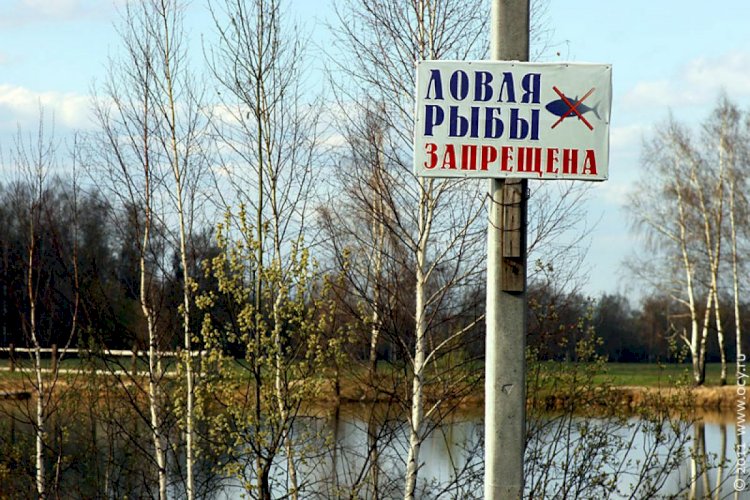 В водоемах Алматинской области запретили  ловить рыбу