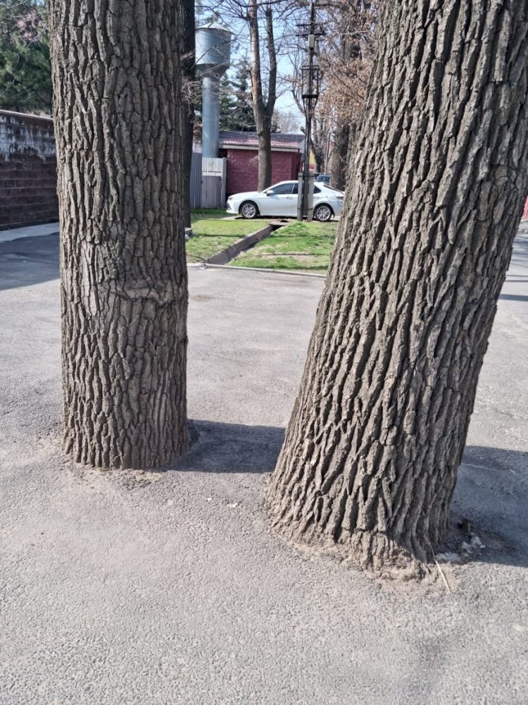 Дежурный по городу. Сказал глухой слепому