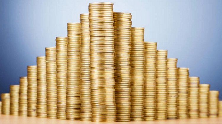 В Кокшетау руководитель финансовой пирамиды нанесла ущерб в 147 млн тенге 