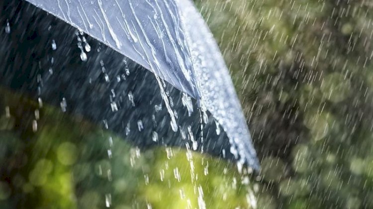 Дождливые выходные ожидаются в Казахстане