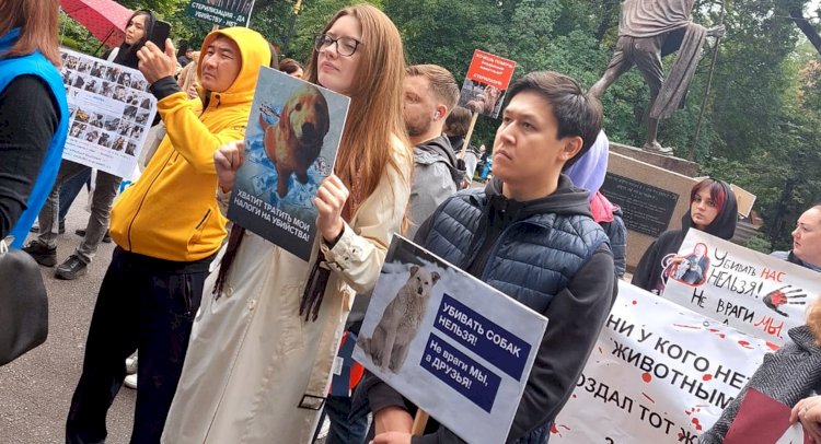 Живые души: алматинцы провели митинг в защиту прав животных