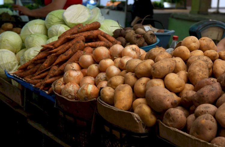Какие продукты в Казахстане подешевели за последнюю неделю