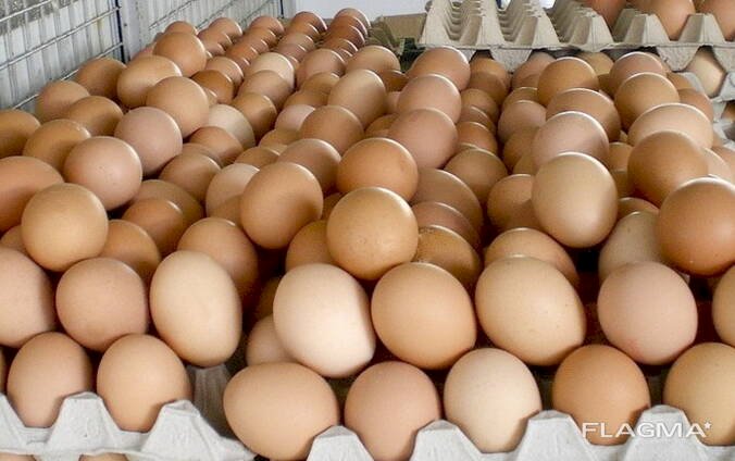 Какие продукты в РК подорожали за неделю