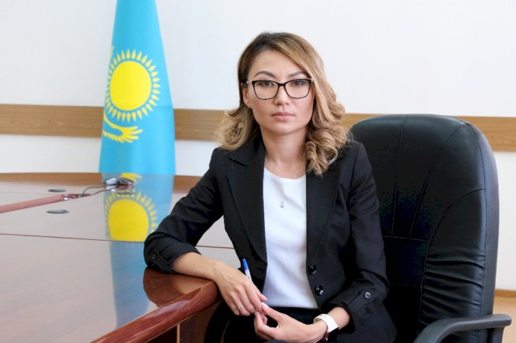 Состязание проектов: как работает программа «Бюджет народного участия»
