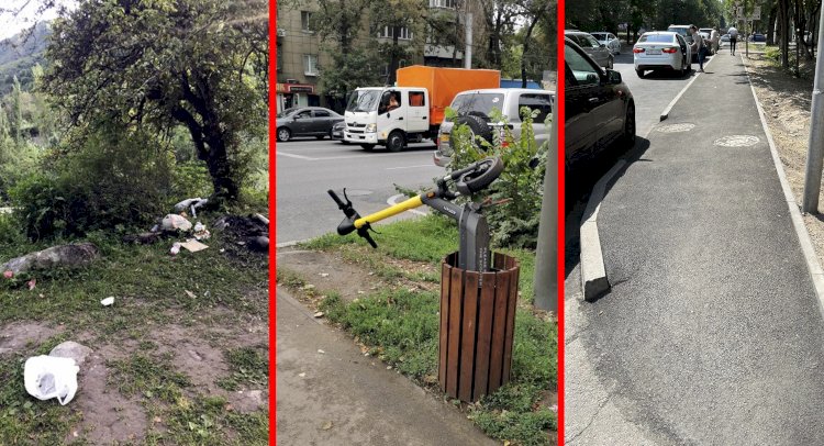 Дежурный по городу. Нашествие самокатов
