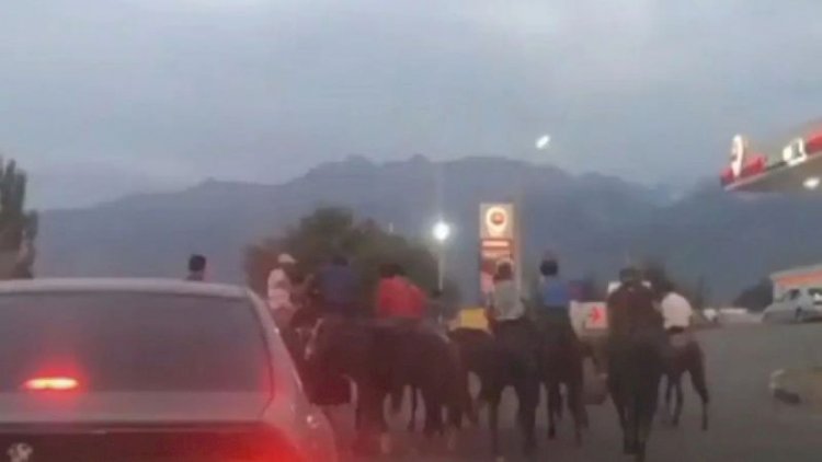 Беспредел на дороге устроили наездники после кокпара в Алматинской области