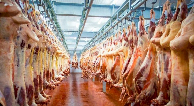 Казахстан налаживает экспорт мяса в Саудовскую Аравию