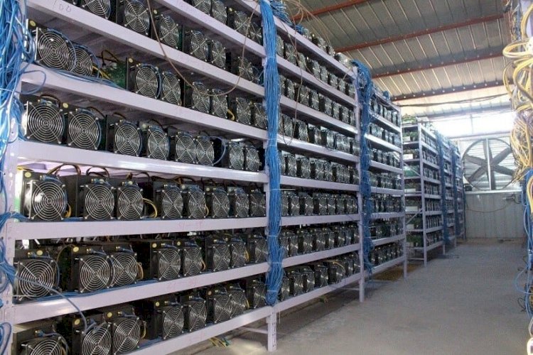 Руководителя сельхозинститута наказали за незаконный майнинг на госпредприятии