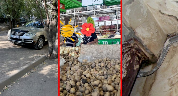 Дежурный по городу. Цена качества