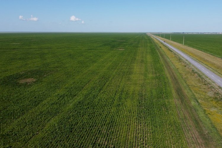 Свыше 1,1 млн га сельхозземель возвращено государству