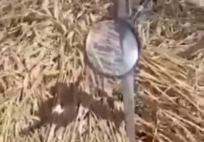 Рассылка о диверсиях с поджогом полей при помощи лупы оказалась фейком