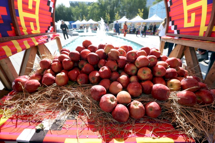 Яблоко задора: самый массовый фестиваль Alma Fest прошел в парке им. Первого Президента