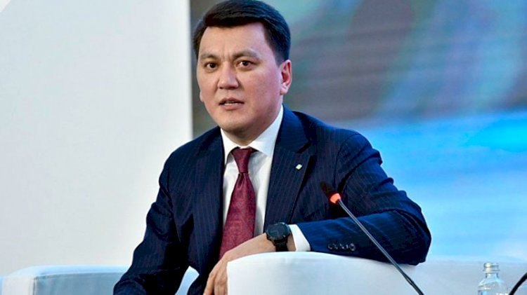 Президентские выборы дают старт новому избирательному циклу – Ерлан Карин