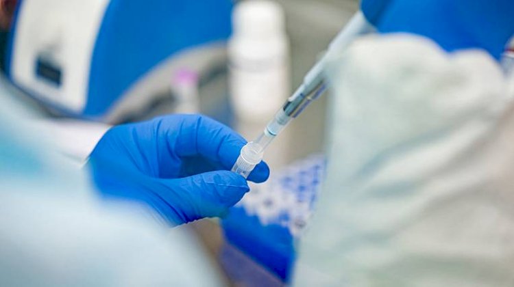 В Казахстане за сутки коронавирус диагностировали у 34 человек