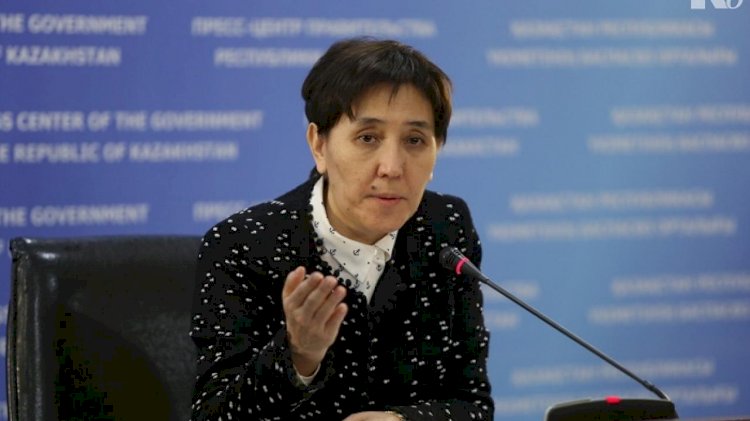 Глава Минтруда обсудила проект Социального кодекса с представителями дипкорпуса
