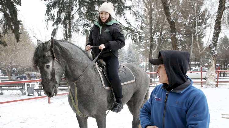 Цезарь, Чёткий, Идальго и другие: корреспондент «Вечёрки» побывал на первом уроке верховой езды