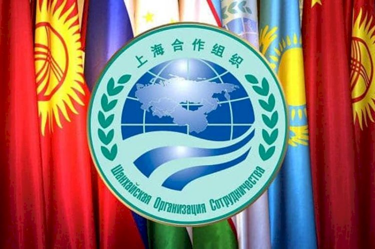 Какие страны в ближайшее время вступят в ШОС