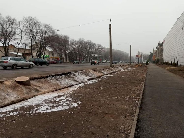 Аким Алматы анонсировал правки в закон, усиливающие полномочия акимата в градостроительном контроле