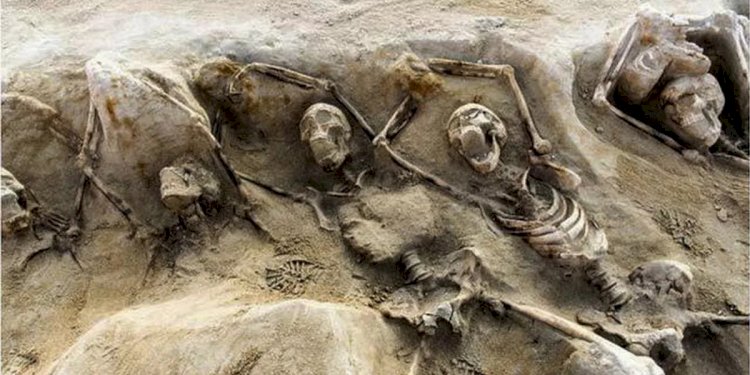 Во Франции обнаружили древнейшие образцы коронавируса в захоронении XVI века