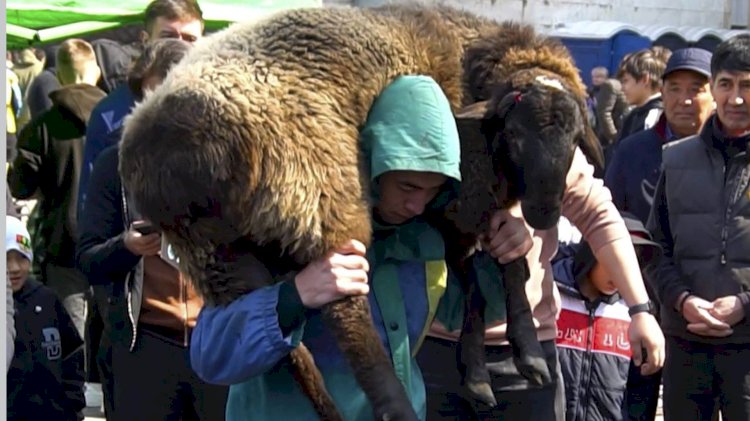 В южной столице прошел фестиваль национальных видов спорта среди школьников