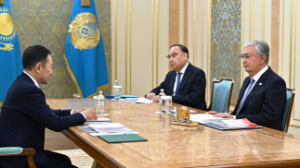 Токаев принял генсека СВМДА Кайрата Сарыбая 