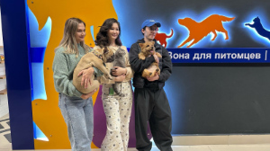 Аэропорт Алматы открыл специальную зону для пассажиров, путешествующих с домашними животными