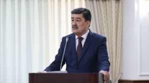 Более 400 штрафов за нарушение экологического законодательства наложено в Казахстане