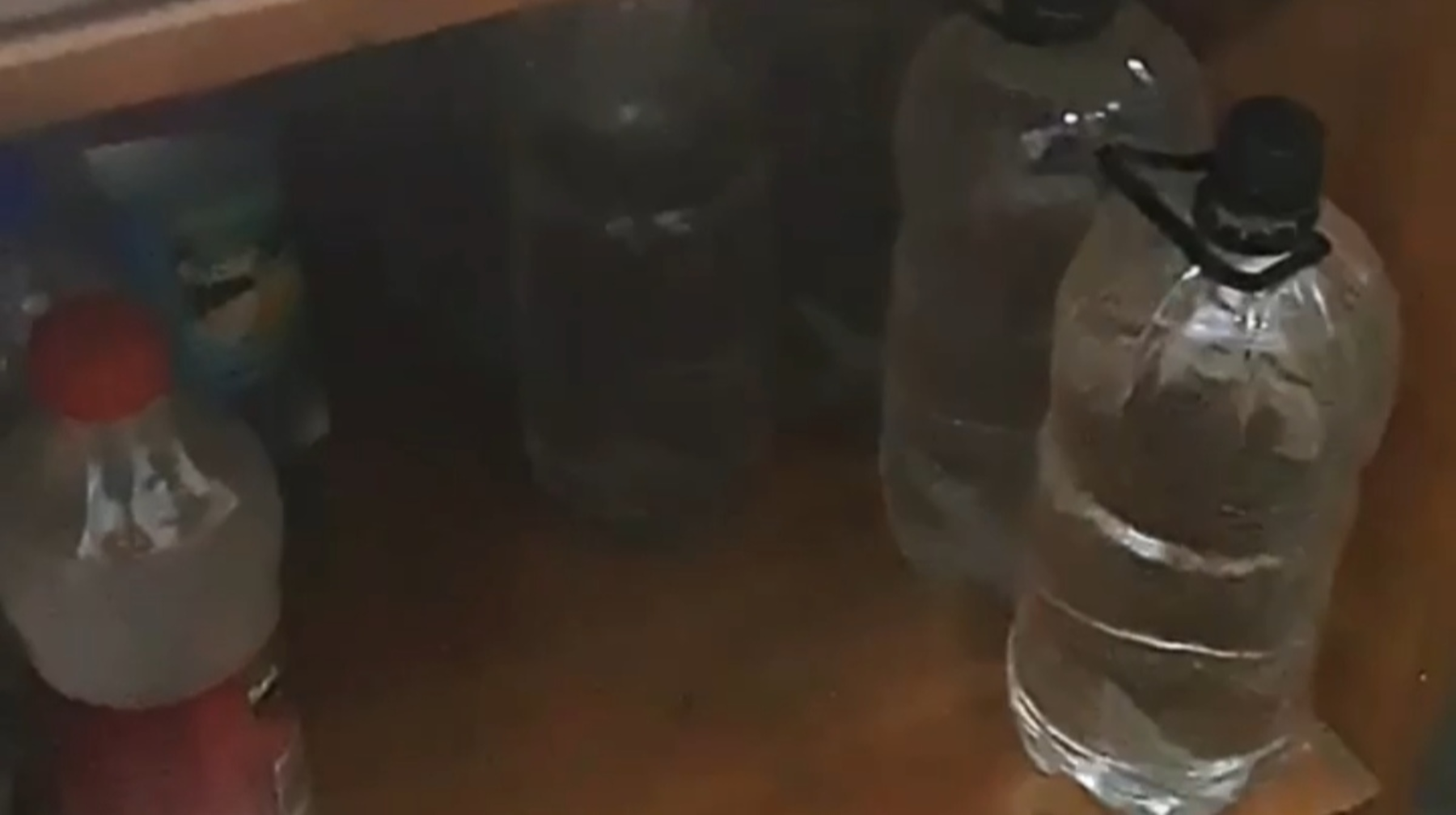 В области Абай полицейские пресекли продажу суррогатного алкоголя 