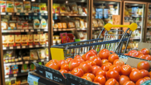 Расследование в отношении поставщика кондитерской продукции начато в Павлодаре