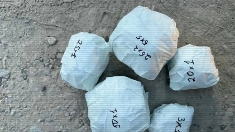 Полицейские изъяли наркотики у водителя в Шымкенте